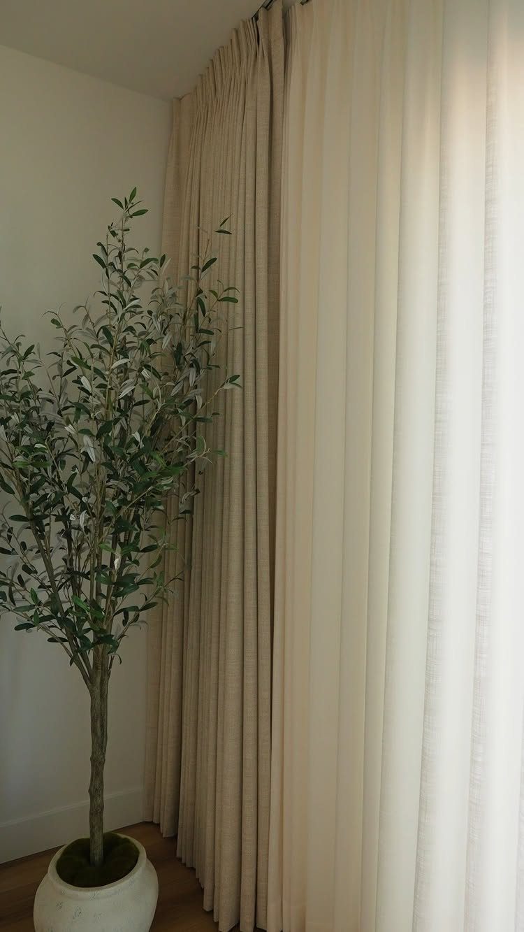 Beige floor-to-ceiling drapery panels hanging next to a potted olive tree.