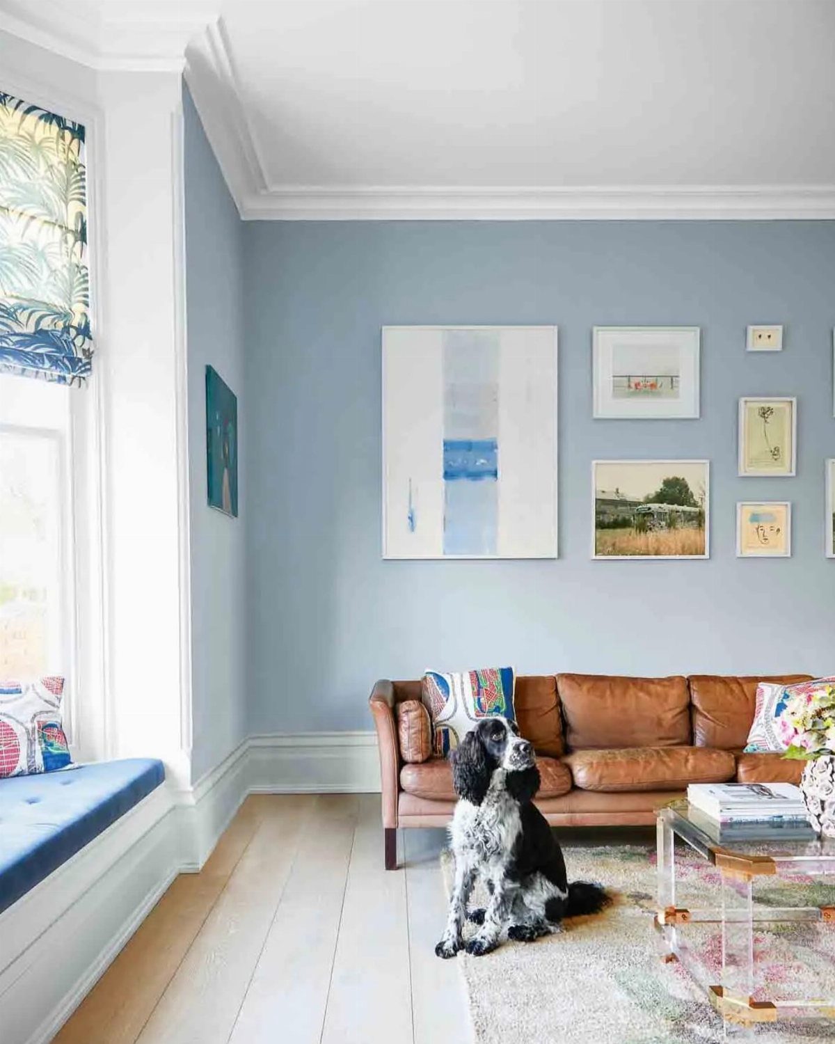 Light blue living room with a brown leather sofa and a black and white dog.